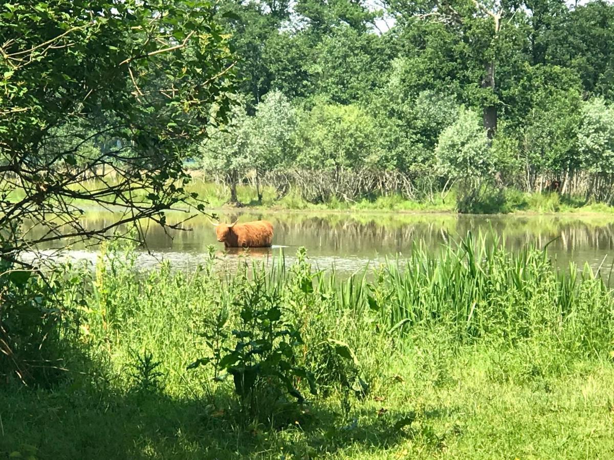 In De Tuin In Gees Villa Kültér fotó