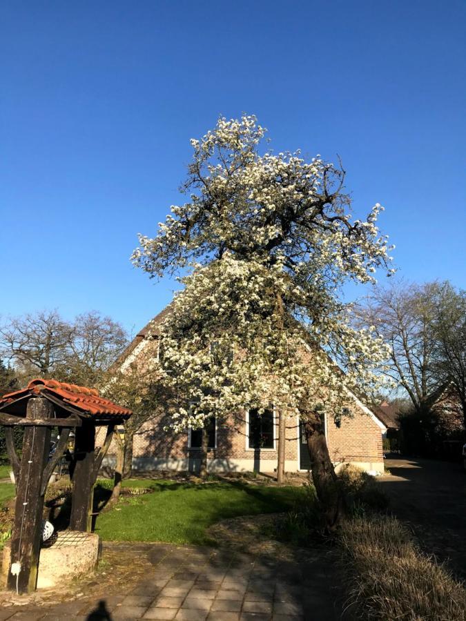 In De Tuin In Gees Villa Kültér fotó